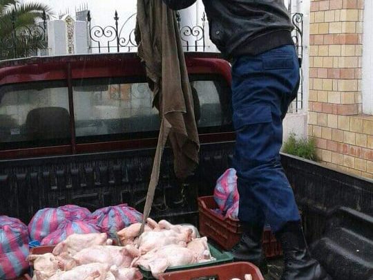 قفصة: حجز 202كغ من الدجاج المذبوح غير صالح للاستهلاك